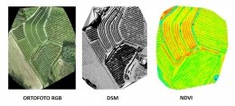 La serie dei mosaici multi-sensore prodotti dai voli fotogrammetrici ricognitivi pre-trattamento con il drone NT4-contras.
A sinistra l’ortofoto RGB; al centro il Modello Digitale 3D; a destra la mappa di vigoria e salute delle piante.