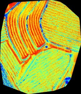 La mappa delle differenti risposte di vigoria e salute dei filari.